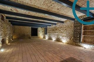 Lager mieten in Neudorfer Straße 10/1, 2340 Mödling, Weinkeller - Lagerfläche