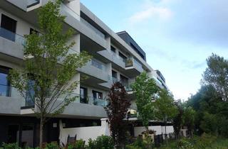 Wohnung mieten in Wulzendorfstrasse 22, 1220 Wien, Neuwertige Traumwohnung in Grün- & Ruhelage (5 Min zu U2 Hardeggasse)