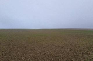 Gewerbeimmobilie kaufen in 2002 Großmugl, TOLLE ACKERFLÄCHE IN SÜDSEITIGER AUSRICHTUNG MIT GUTER BONITÄT IN GROßMUGL