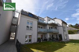 Wohnung kaufen in Landersdorfer Straße, 3500 Krems an der Donau, Süd-Garten mit "Badeteich" und Tiefgarage in begehrter Winzer Lage (Winzer Krems, Lenz Moser) - befristet vermietet - JETZT ANFRAGEN