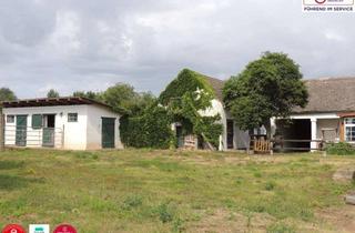 Bauernhäuser zu kaufen in Laaer Straße, 2113 Karnabrunn, 10 Pferdestellplätze ? Charmantes Bauernhaus für Pferdeliebhaber