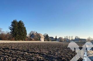 Grundstück zu kaufen in 8490 Bad Radkersburg, Baugrund vor den Toren der Thermenstadt Bad Radkersburg