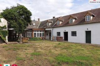 Bauernhäuser zu kaufen in Laaer Straße, 2113 Wetzleinsdorf, Für Pferdeliebhaber: Bauernhaus mit 10 Pferdeplätzen