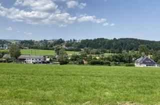 Wohnung kaufen in Breitenstraße 1, 4870 Vöcklamarkt, Einfamilienhausersatz- Eigenheim macht glücklich! Erstbezug in Vöcklamarkt - Haus B