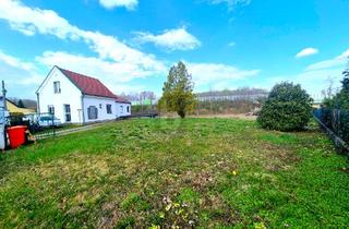 Einfamilienhaus kaufen in 2401 Fischamend-Dorf, GRÜNBLICK MIT POTENTIAL!