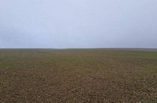 Gewerbeimmobilie kaufen in 2002 Großmugl, TOLLE ACKERFLÄCHE IN SÜDSEITIGER AUSRICHTUNG MIT GUTER BONITÄT IN GROßMUGL