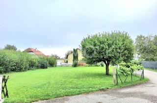 Grundstück zu kaufen in 4614 Marchtrenk, Großes Baugrundstück zwischen Linz und Wels!!