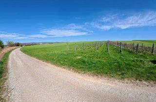 Grundstück zu kaufen in 7011 Siegendorf, Weingarten bei Siegendorf zu kaufen ! In Vino Veritas !