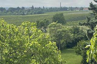 Grundstück zu kaufen in 2504 Sooß, Baugrundstück (2.059 Quadratmeter) in Sooß für Ihr neues Eigenheim