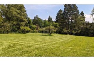 Grundstück zu kaufen in 3032 Eichgraben, IDYLLISCH IN RUHELAGE