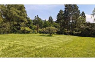 Grundstück zu kaufen in 3032 Eichgraben, IDYLLISCH IN RUHELAGE