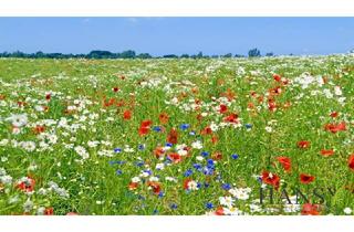 Grundstück zu kaufen in 2732 Willendorf, Großzügiges Grün- bzw. Landgrundstück ( 13.056 m² ) im Naturparadies Willendorf ( 6% Rendite! )