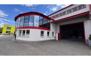 Büro zu mieten in 3052 Innermanzing, Moderne Gewerbefläche in Innermanzing I 558m² Halle I 65m² Büro I vielseitig nutzbar