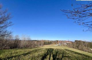 Grundstück zu kaufen in 7571 Rudersdorf, Sonniger Baugrund mit Fernblick im Südburgenland