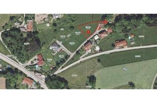 Grundstück zu kaufen in Teffling 171, 3353 Seitenstetten, Baugrundstück mit 1116 m² in Seitenstetten (ohne BAUZWANG)