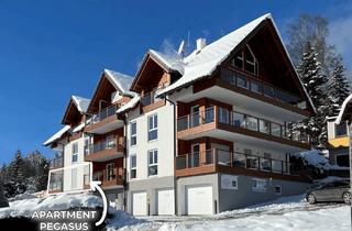 Maisonette kaufen in 8982 Tauplitz, Luxus-Wohnung direkt an der Skipiste!
