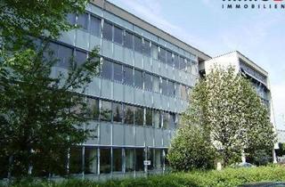 Büro zu mieten in Dynatrace, Donaulände, Xxxlutzdonau, 4020 Linz, Neuwertiges Büro/Praxis in Linz: 17,4 m² für nur 319,46 € mtl. - Ideal für Ihre Ideen!