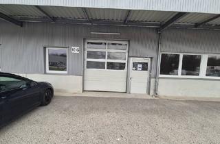 Büro zu mieten in 2544 Leobersdorf, Ared-Park: Lager- und Gewerbehalle mit Büro und Sektionaltor - G10
