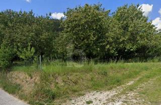 Grundstück zu kaufen in 3134 Nußdorf ob der Traisen, GROßZÜGIGES GRUNDSTÜCK IN TRAUMLAGE