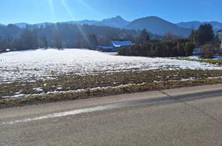 Grundstück zu kaufen in 9232 Rosegg, Baugrund