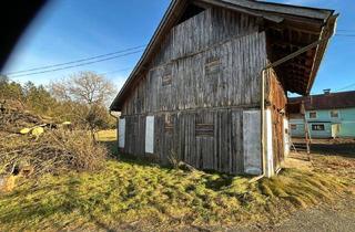 Gewerbeimmobilie mieten in 9560 Radweg, Eigener 2-3 Pferde Stall in Freilauf-Haltung für Selbstversorger zu verpachten, optionales Wohnhaus mit 2 Whg. a` 70qm extra zu vermieten wird gerade komplett saniert.