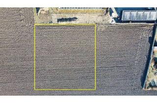 in 3123 Greiling, Gewerbegrundstück 3891 qm zur Miete Nähe St. Pölten