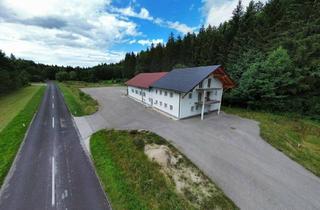 Gewerbeimmobilie kaufen in 5204 Straßwalchen, Großzügige Gewerbeliegenschaft Widmung B, MB mit XXL-Grundstück, Halle mit 248 m², Büro und XL-Einliegerwohnung in Fornach / Nähe Straßwalchen