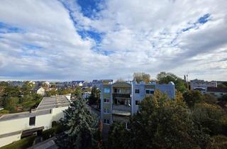 Wohnung kaufen in 2700 Wiener Neustadt, Helle Dachgeschosswohnung im Herzen von Wiener Neustadt