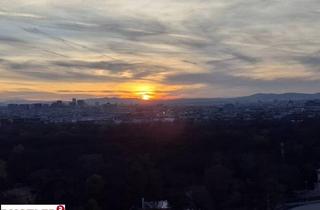 Wohnung mieten in Hauptallee, 1020 Wien, Sundowner über den Dächern!