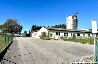 Büro zu mieten in Welser Straße, 4623 Gunskirchen, Großzügige Gewerbefläche in Gunskirchen