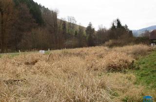 Grundstück zu kaufen in 2853 Krumbach, Baugrund in Krumbach