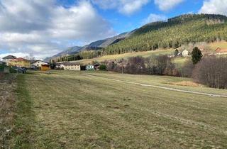 Grundstück zu kaufen in 2640 Prigglitz, Wunderbares Baugrundstück im Naturdorf Prigglitz!