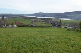 Grundstück zu kaufen in 5164 Seeham, Grundstück zu verkaufen