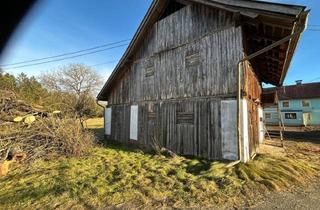 Lager mieten in 9560 Radweg, Eigener 2-3 Pferde Stall in Freilauf-Haltung für Selbstversorger zu verpachten, optionales Wohnhaus mit 2 Whg. a` 70qm extra zu vermieten wird gerade komplett saniert.