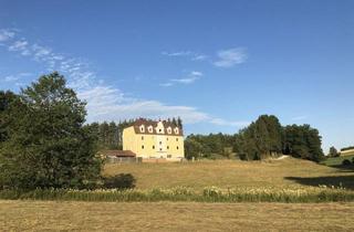 Mehrfamilienhaus kaufen in Freistadt, 4261 Rainbach im Mühlkreis, Schlossähnliches Mehrfamilienhaus mit separatem Stall in Alleinlage oberhalb von Linz in Oberösterreich - für Tierhaltung, Reiterhof etc.