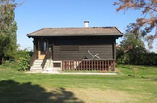 Haus mieten in Telephonweg, 1220 Wien, Urbanes Wohnen mit großem Garten mit kleinem Einfamilienhaus in Essling