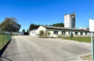 Garagen mieten in Welser Straße, 4623 Gunskirchen, Großzügige Gewerbefläche in Gunskirchen