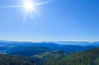 Wohnung kaufen in 9571 Sirnitz, Kärnten: Hochrindl-Nähe Turracher Höhe: Schneesicherheit auf Über 1600 Meter! Zweitwohnsitz! Erstbezug! Honorarfrei Für Käufer: Innen!