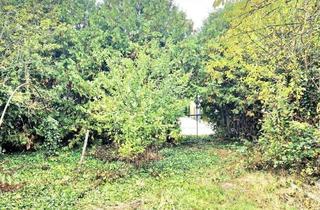 Grundstück zu kaufen in Weinberge, 7122 Gols, BAUGRUND