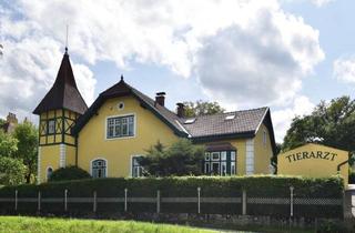 Villen zu kaufen in 3910 Zwettl-Niederösterreich, Exklusive Rarität - Villa mit traumhaftem Garten und Ordination
