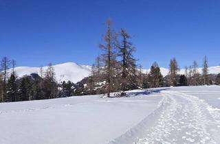 Wohnung kaufen in 9571 Sirnitz, Kärnten: Hochrindl-Nähe Turracher Höhe: Schneesicherheit auf über 1600 Meter! Zweitwohnsitz! Erstbezug! Honorarfrei für Käufer: innen!
