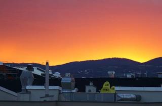 WG-Zimmer mieten in 1020 Wien, Co-Living Deluxe // Zimmer in lichtdurchfluteter Luxus-WG in zentraler Lage