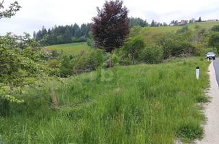 Grundstück zu kaufen in 9112 Griffen, WER RUHE SUCHT WIRD HIER FÜNDIG