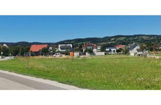 Grundstück zu kaufen in 7083 Purbach am Neusiedler See, RUHIG GELEGEN - 551 M2 - EINER VON VIER BAUPLÄTZEN