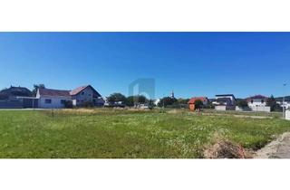 Grundstück zu kaufen in 7083 Purbach am Neusiedler See, RUHIG GELEGEN - 659 M2 - EINER VON VIER BAUPLÄTZEN