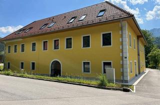 Haus kaufen in 4563 Micheldorf, Liebevoll renoviertes Ertragsobjekt mit 14 Wohneinheiten incl. Bauland