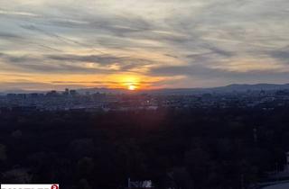 Wohnung mieten in Hauptallee, 1020 Wien, Sundowner über den Dächern!