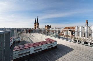 Wohnung mieten in Albertgasse, 1080 Wien, Privat oben, Projekt unten: Wohnen + Studio in einem Haus!