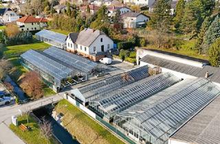 Agrarfläche kaufen in 3434 Tulbing, Gärtnerei nahe Tulln & Wien: Betriebsimmobilie mit Glashäusern, Außenflächen, Lagerhalle und Wohnhaus