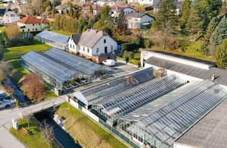 Gewerbeimmobilie kaufen in 3434 Katzelsdorf, Gärtnerei nahe Tulln & Wien: Betriebsimmobilie mit Glashäusern, Außenflächen, Lagerhalle und Wohnhaus